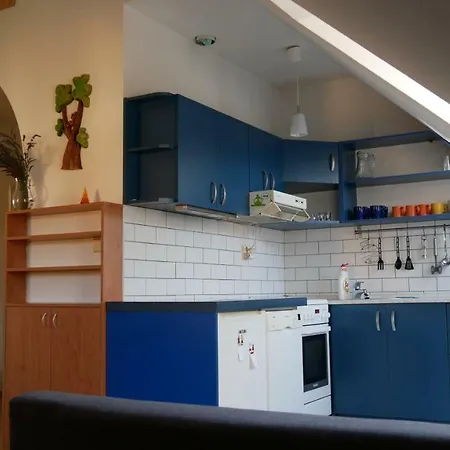 Apartment Beautiful Attic 20 Min To Downtown Prague